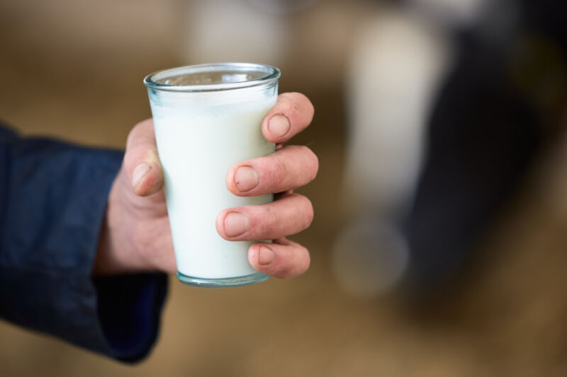 Raw milk fans intend to drink up as specialists caution of elevated degrees of H5N1 infection